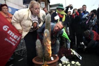 Een cactus staat in brand.