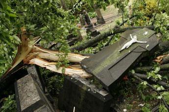 Tientallen graven in Hoensbroek vernield door storm.