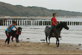 Het duurt even, maar dan gaat Queeny met Lisanne op haar rug in galop.