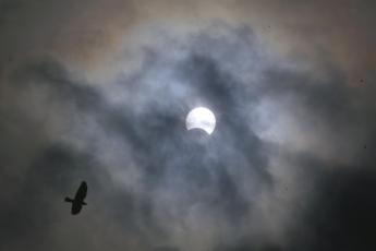 De winnende foto van Jos Verbeek.