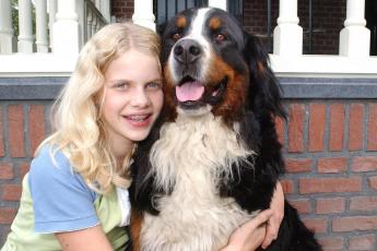 Danille met haar Berner sennen.