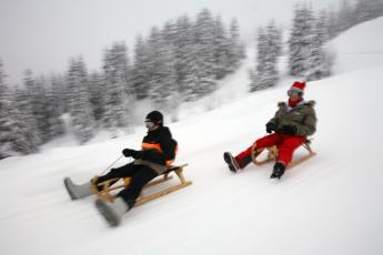 In het buitenland zijn vooral sneeuwbestemmingen favoriet.