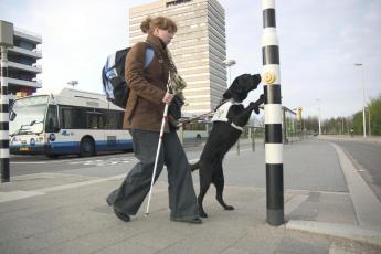 Martine Boere met haar hond Nova.