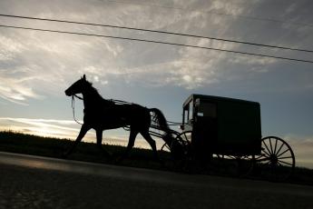 De Amish verplaatsen zich nog altijd met paard en wagen.