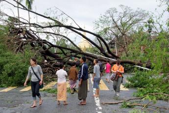 Ontwortelde bomen in Rangoon.