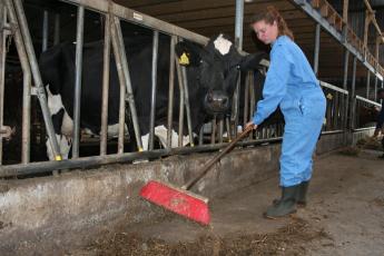 Jenny Goedenbeek (19) uit Nieuw-Lekkerland werkt het liefst in de stal van zorgboerderij Heykoop in Streefkerk.