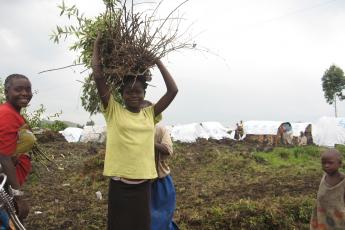 Vluchtelinge, Congo