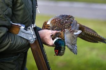 Uit een van de koffers op de bagageband druppelde bloed. Er zaten dode vogels in.