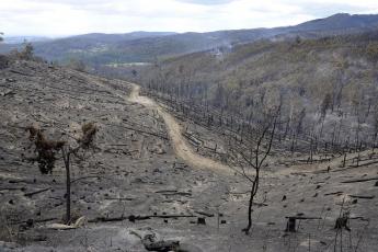 De branden laten enorme, totaal verwoeste vlaktes achter in het Australische landschap.