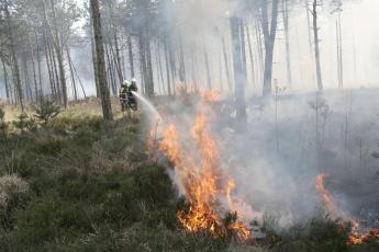 Vooral in heidegebieden is momenteel gevaar voor natuurbranden.