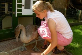 Anneke en Sjors: een onafscheidelijk duo.