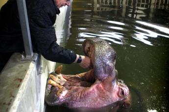 Artis zou leeg zijn zonder jou.